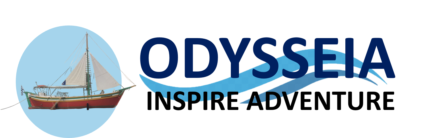 odysseia.infosenseonline.com